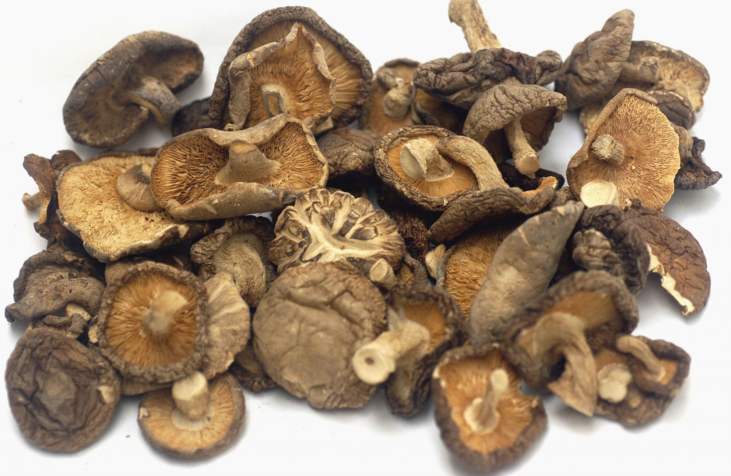 Shiitake Mushrooms Benefits
 Shiitake mushroom Fact Health Benefits & Nutritional Value