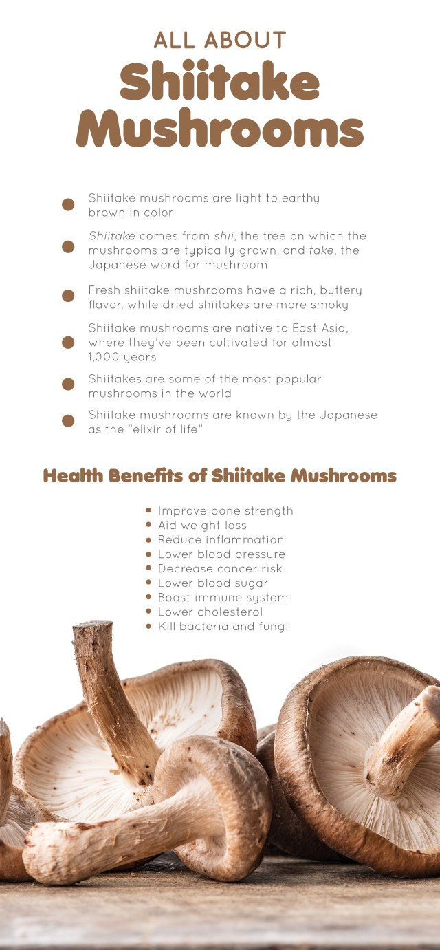 Shiitake Mushrooms Benefits
 Delicious Shiitake Mushroom Health Benefits You Need to