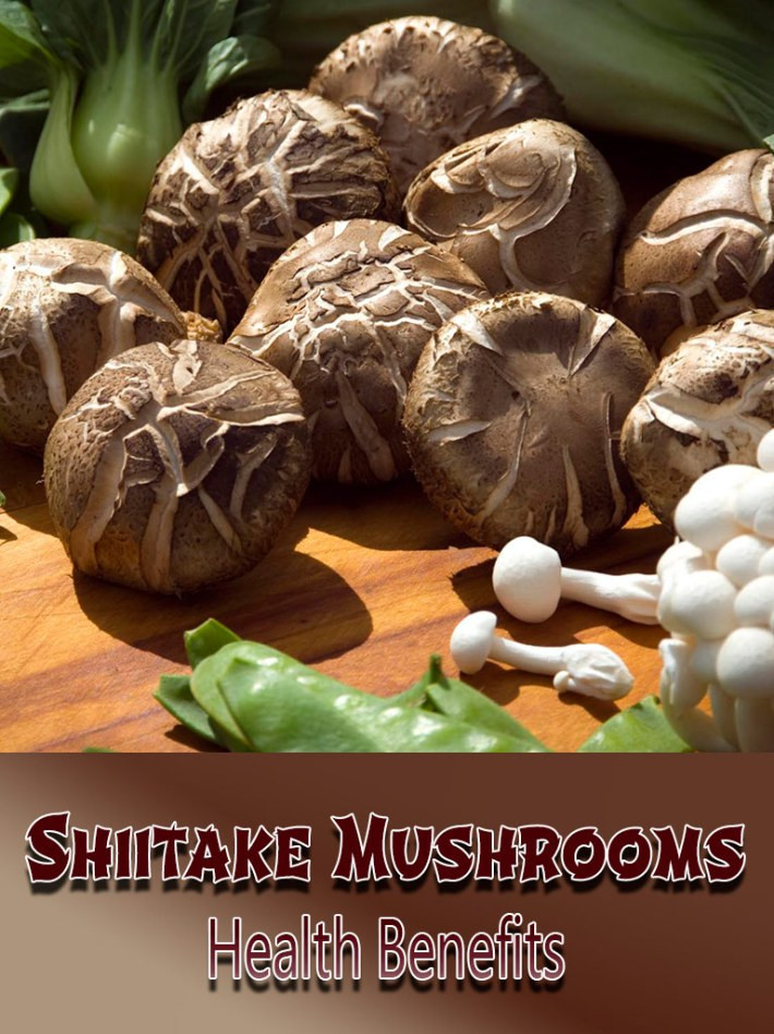 Shiitake Mushrooms Benefits
 Quiet Corner Shiitake Mushrooms Health Benefits Quiet Corner