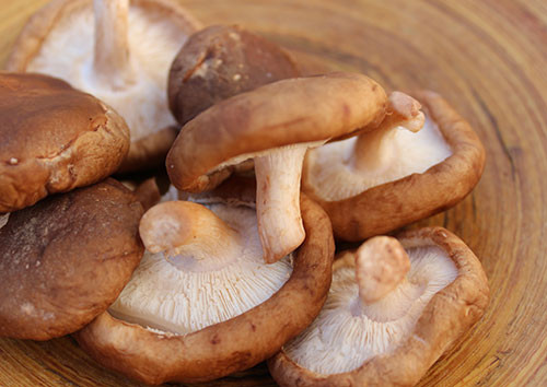 Shiitake Mushrooms Benefits
 Shiitake Mushroom The Gourmet and Medicinal Variety