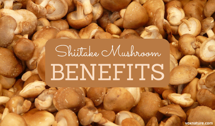 Shiitake Mushrooms Benefits
 Health Benefits of Shiitake Mushroom Lentinula edodes