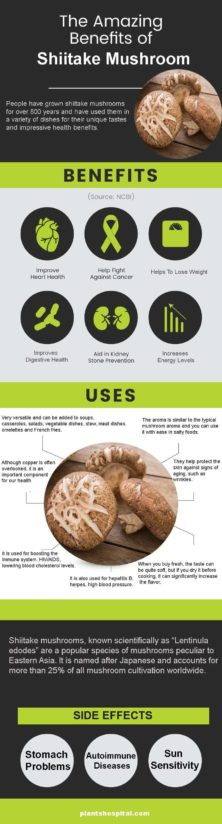 Shiitake Mushrooms Benefits
 What Are The Health Benefits Shiitake Mushroom