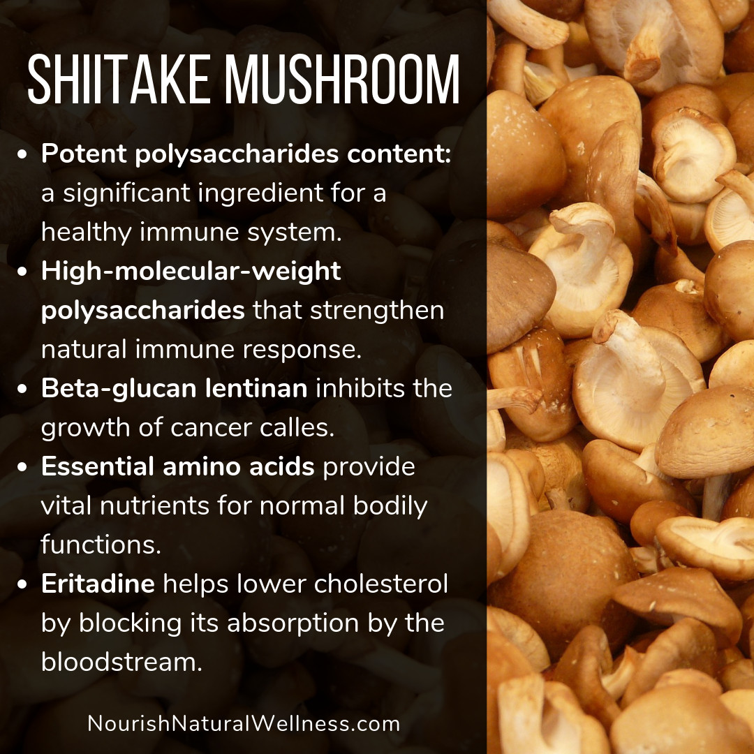 Shiitake Mushrooms Benefits
 Discover the health benefits of shiitake mushroom