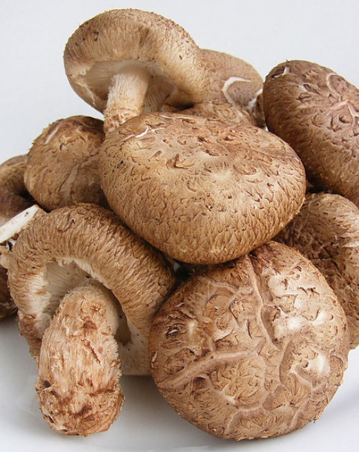 Shiitake Mushrooms Benefits
 Nutrition Facts for Mushrooms Health Benefits Best