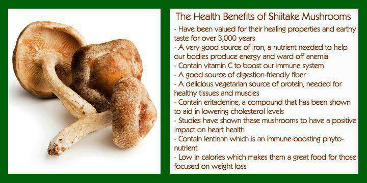 Shiitake Mushrooms Benefits
 Benefits of shiitake mushrooms Health Conscious