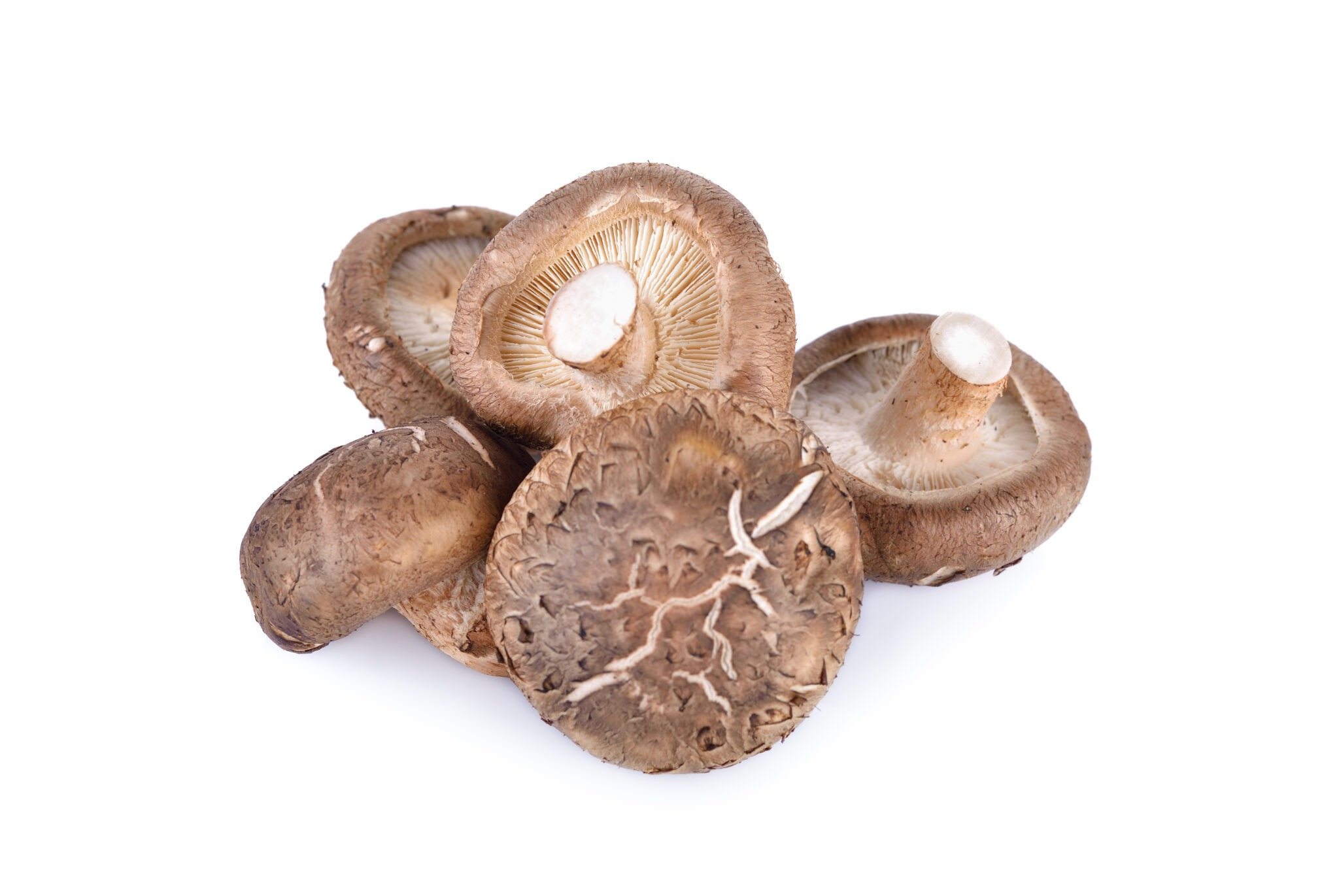 Shiitake Mushrooms Benefits
 Shiitake mushroom Health benefits and Side effects