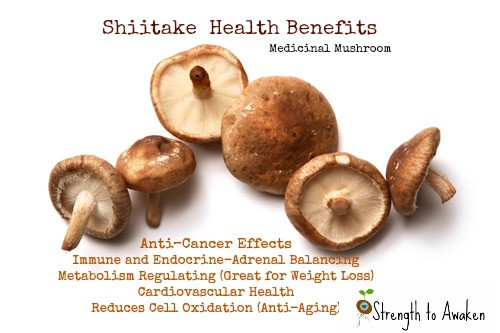 Shiitake Mushrooms Benefits
 TRIBAL GODDESS Easy Gluten Free Ve arian Stir fry