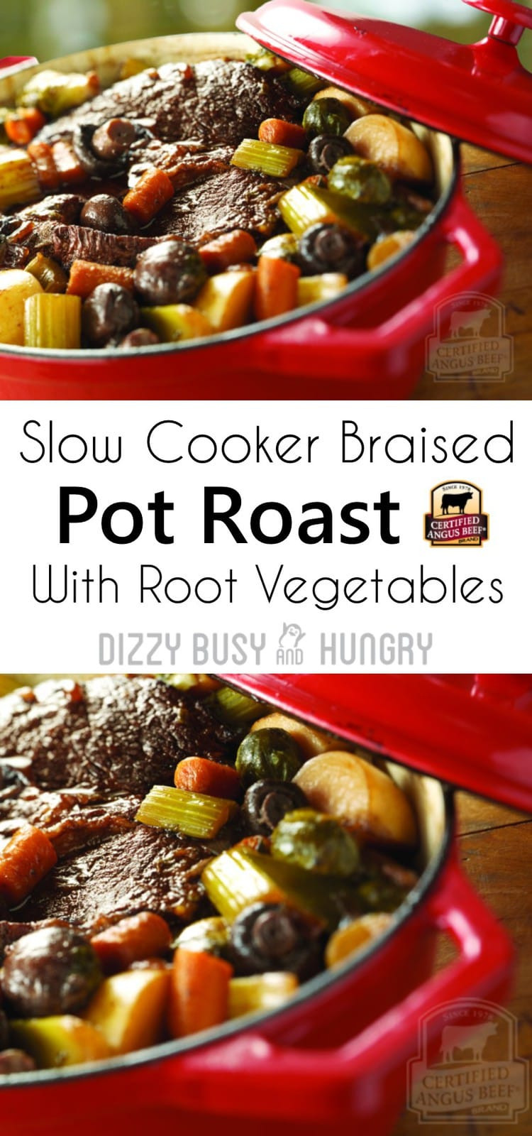 Slow Cooker Roasted Vegetables
 Slow Cooker Braised Pot Roast with Root Ve ables