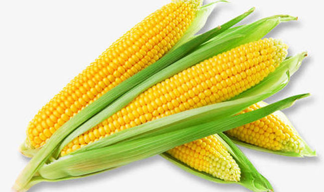 Soluble Corn Fiber
 Resistant Dextrin Soluble Corn Fiber Natural Sweetener