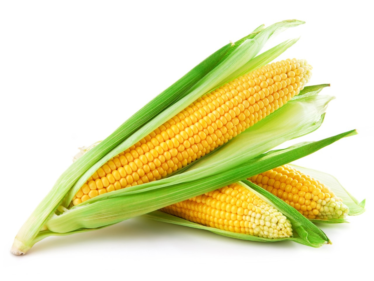 Soluble Corn Fiber
 Soluble Corn Fiber May Improve Girls’ Bone Health