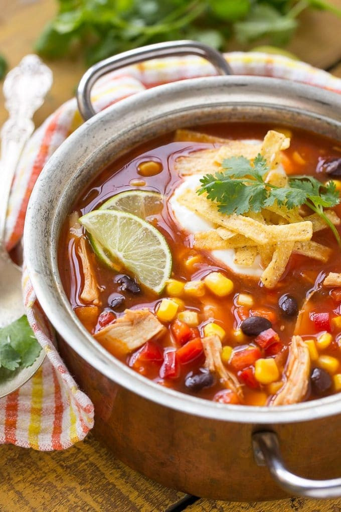 Soup Ideas For Dinner
 Chicken Taco Soup Dinner at the Zoo