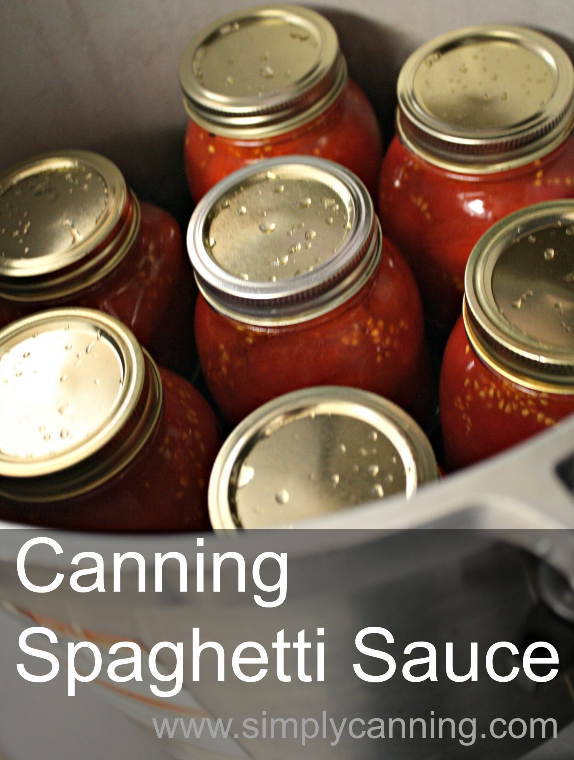 Spaghetti Sauce Canning Recipe
 Canning Spaghetti Sauce Recipe with meat that will save