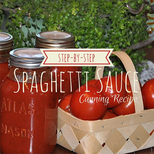 Spaghetti Sauce Canning Recipe
 Spaghetti Sauce Canning Recipe Step by Step