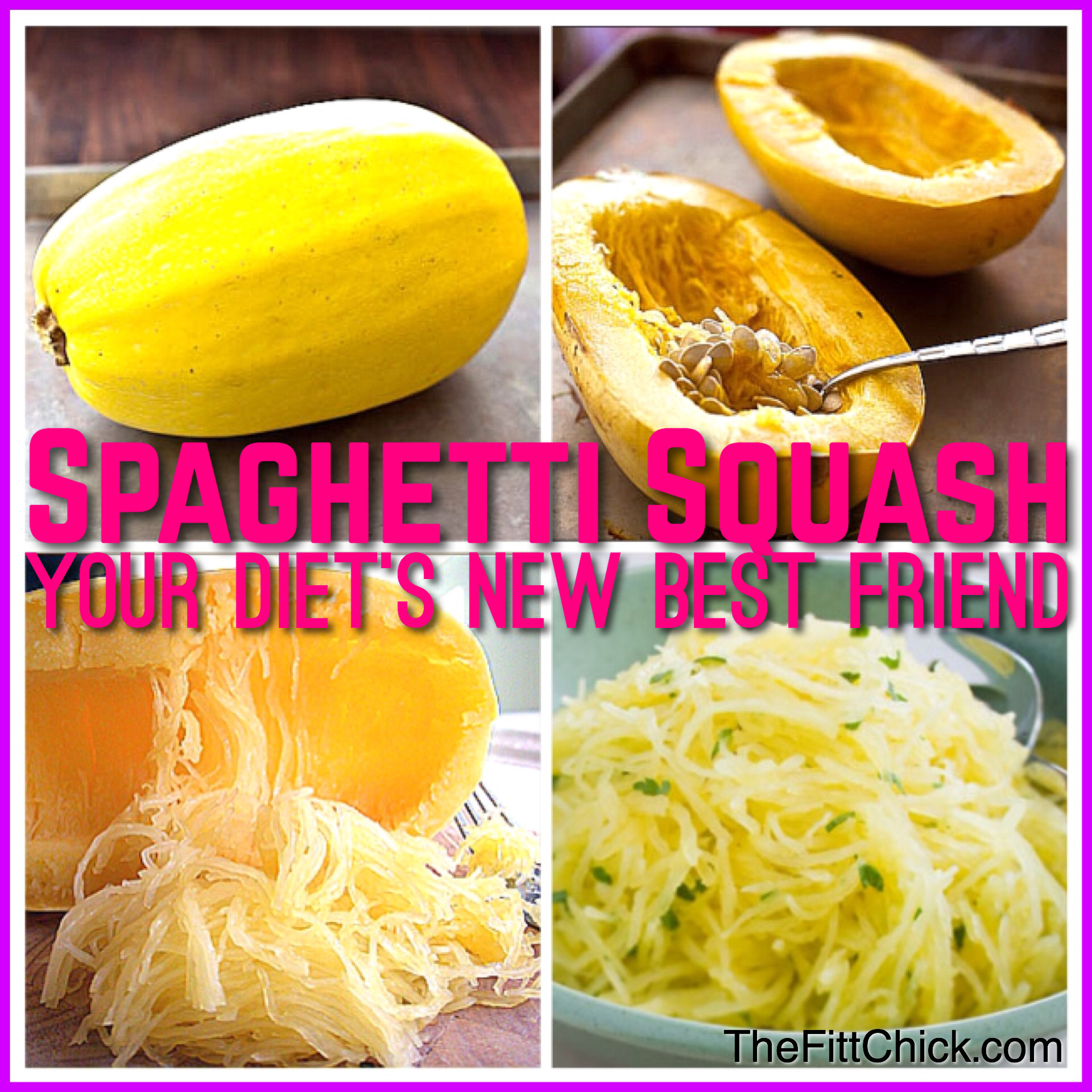 Spaghetti Squash Fiber
 spaghetti squash