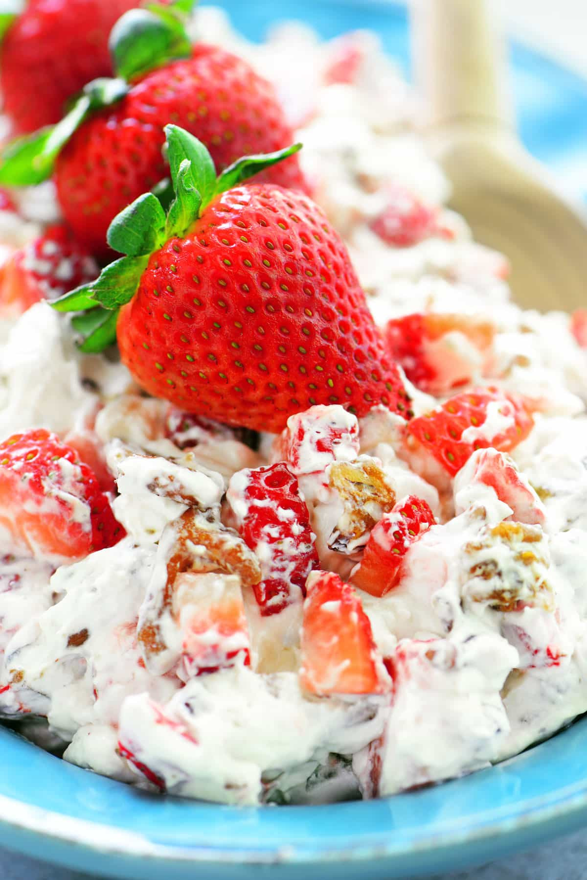Strawberry Pretzel Jello Dessert With Fresh Strawberries
 Strawberry Pecan Pretzel Salad The Gunny Sack