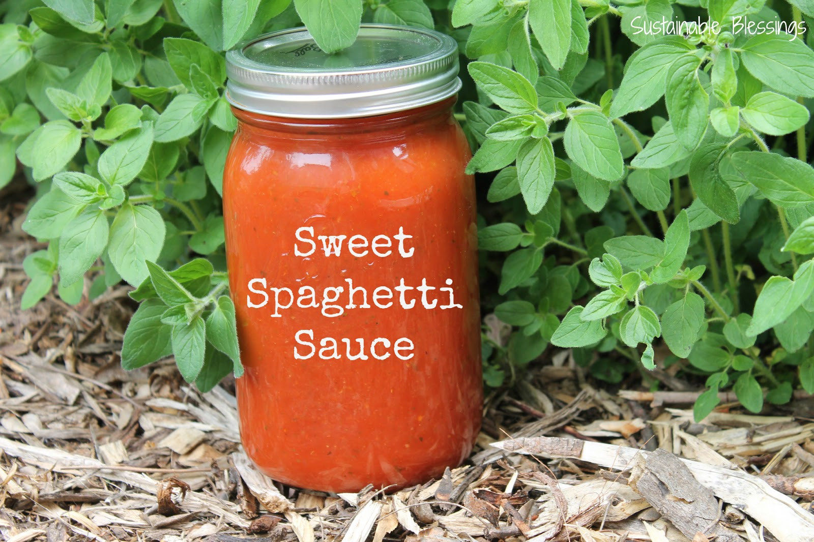 Sweet Spaghetti Sauce
 Sustainable Blessings Sweet Spaghetti Sauce