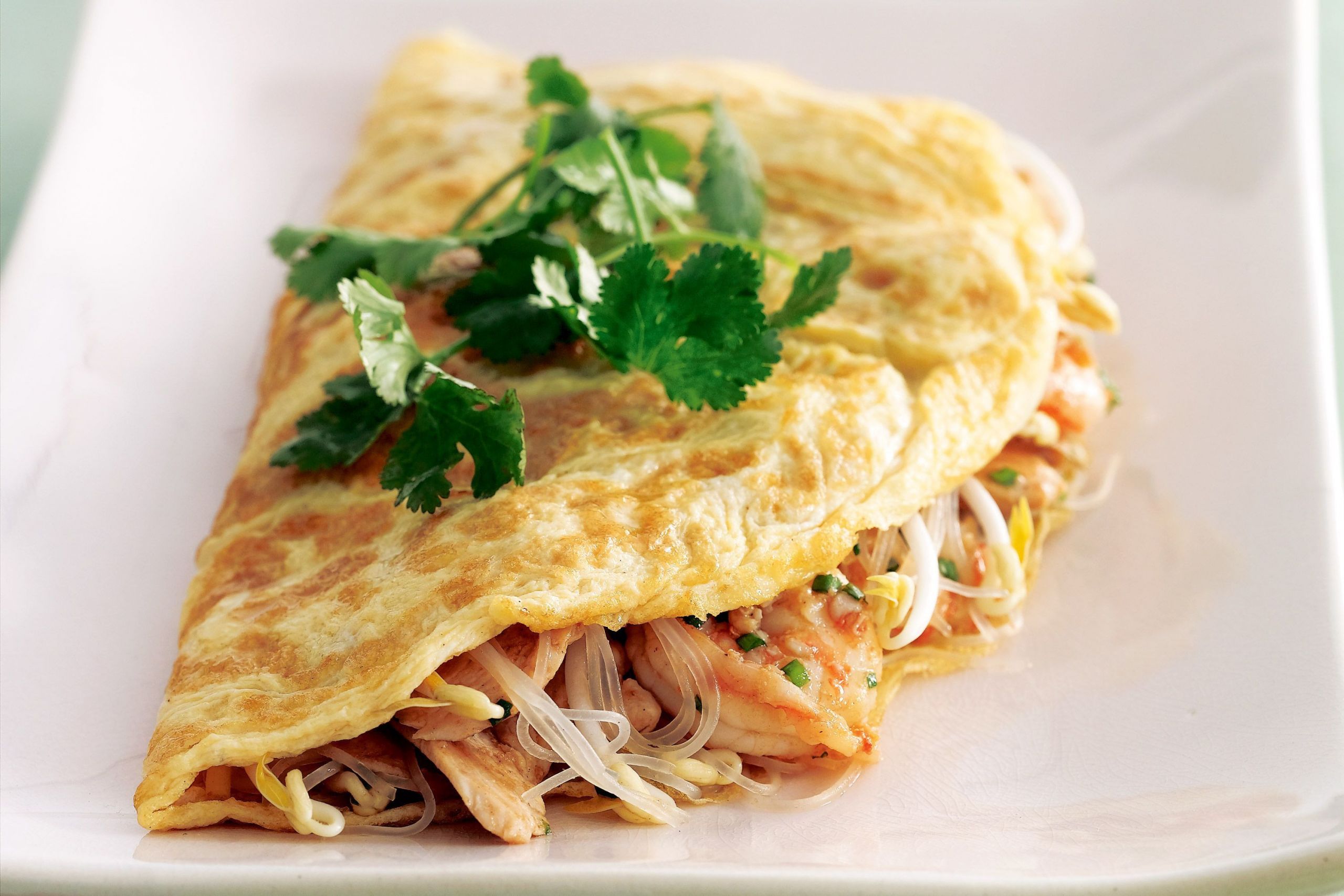 Thai Omelette Recipes
 thai omelette recipe