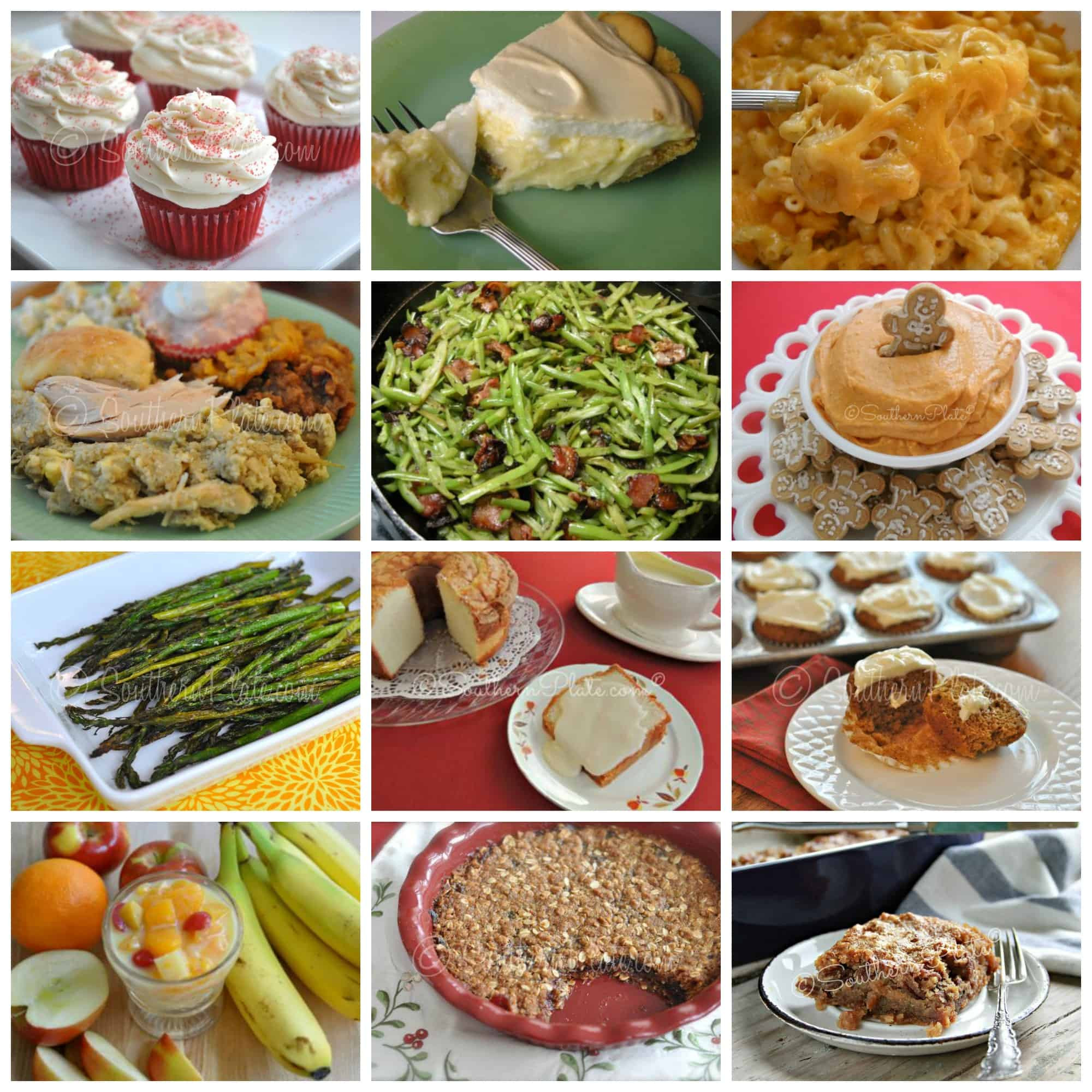 Thanksgiving Dinner Ideas
 Holiday Menu Bonanza with time saving tips 70 RECIPES