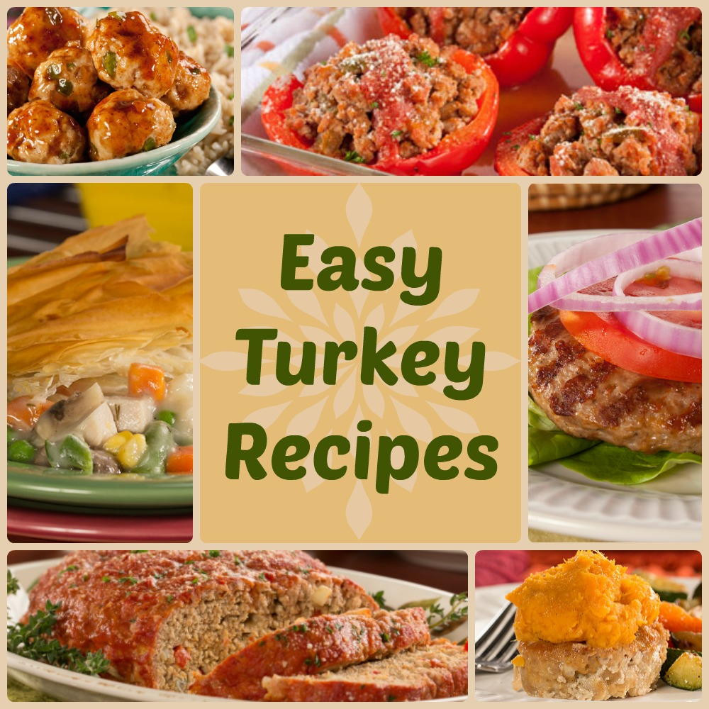 Thanksgiving Dinner Recipes
 Quick & Healthy Dinner Recipes 18 Easy Turkey Recipes