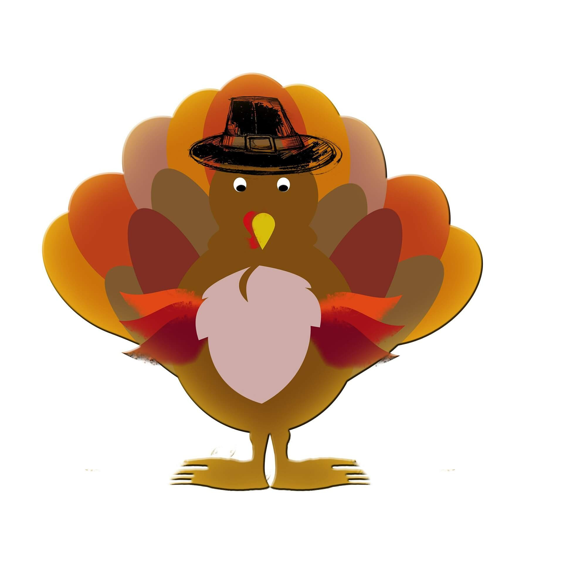 Thanksgiving Turkey Cartoon
 Give Thanks A Thanksgiving for Turkeys Vegaprocity