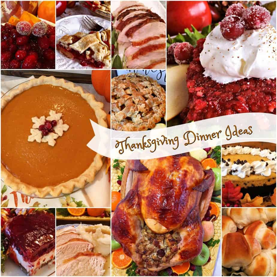 Turkey Dinner Ideas
 Thanksgiving Dinner Idea s