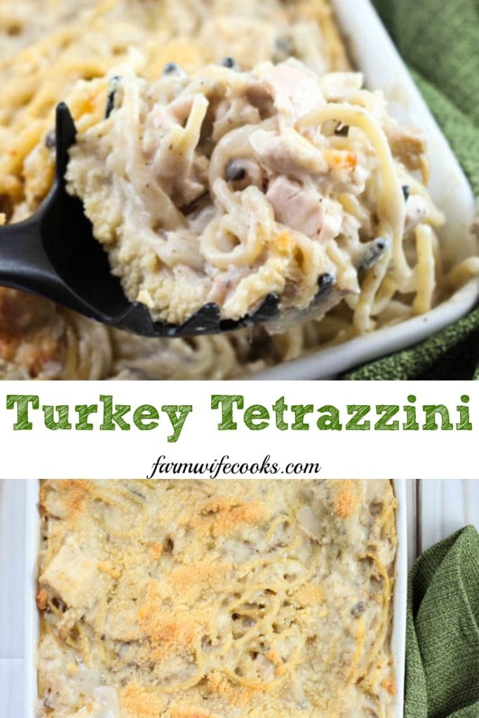 Turkey Tetrazzini Recipe With Cream Of Mushroom Soup
 Turkey Tetrazzini The Farmwife Cooks