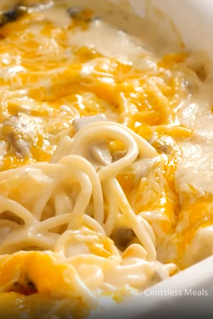 Turkey Tetrazzini Recipe With Cream Of Mushroom Soup
 Chicken tetrazzini is a great way to use up leftover