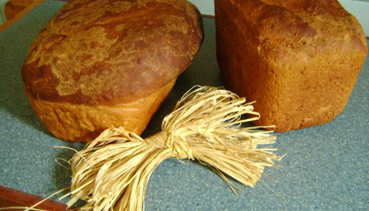 Types Of Gluten Free Bread
 Getting To Know The Types Gluten Free Bread glutenzo