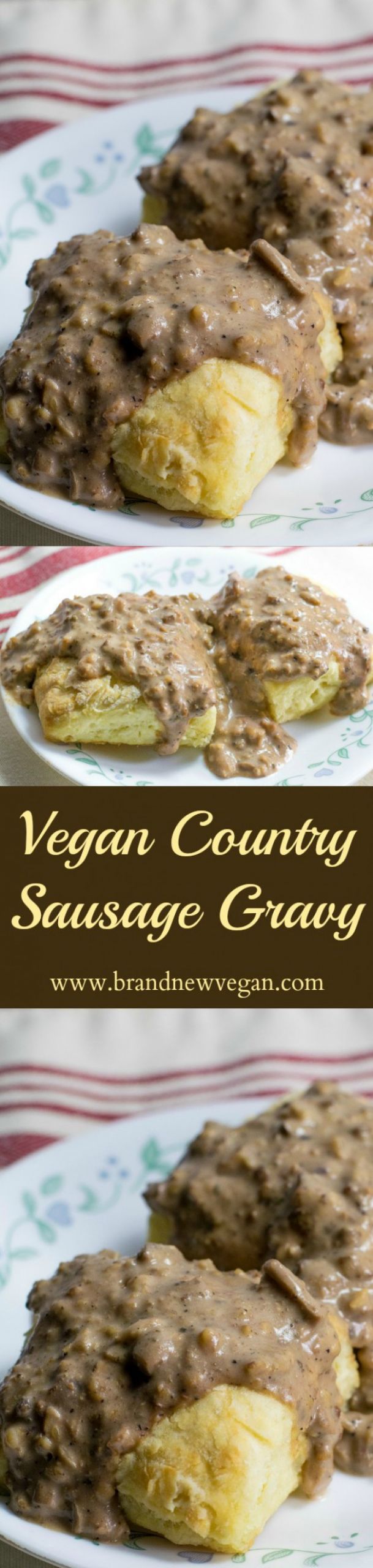 Vegan Country Gravy
 Vegan Country Sausage Gravy Brand New Vegan