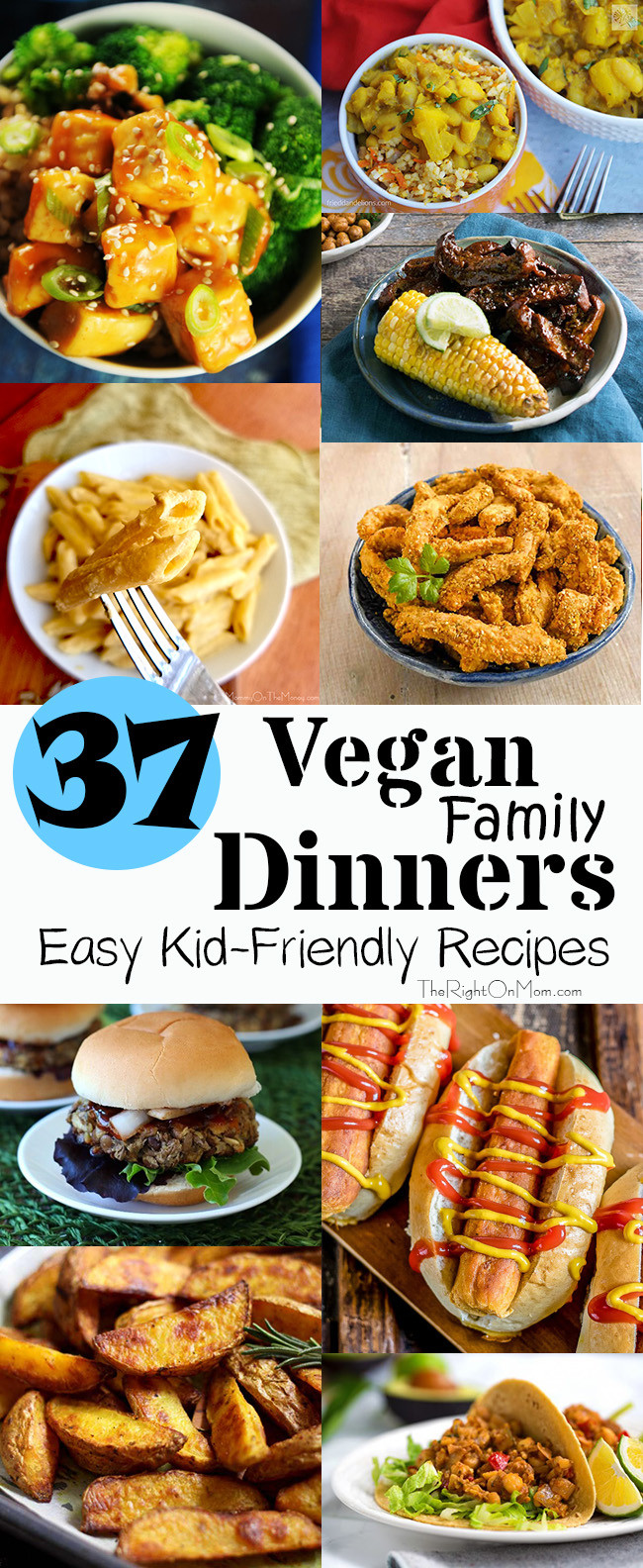 Vegan Family Dinners
 VEGAN Mom Blog Vegan Pregnancy Vegan Kids Food Animal