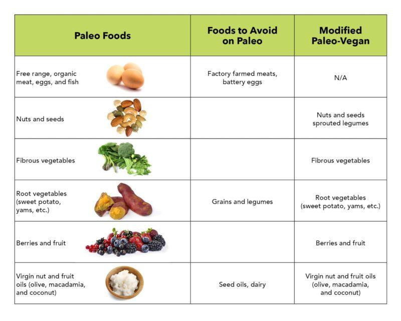 Vegan Paleo Diet
 Paleo Vegan Diet—Everything You Need to Know – Nuzest USA