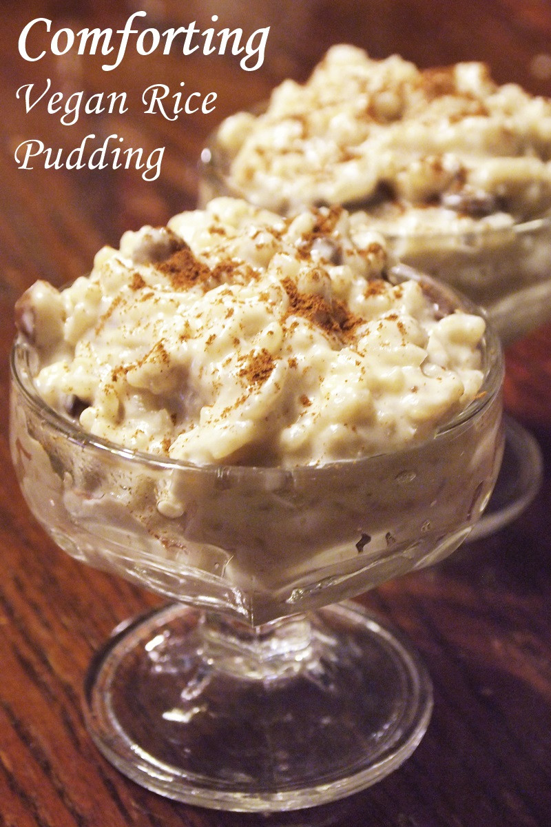 Vegan Puddings Recipes
 forting Vegan Rice Pudding Recipe Go Dairy Free