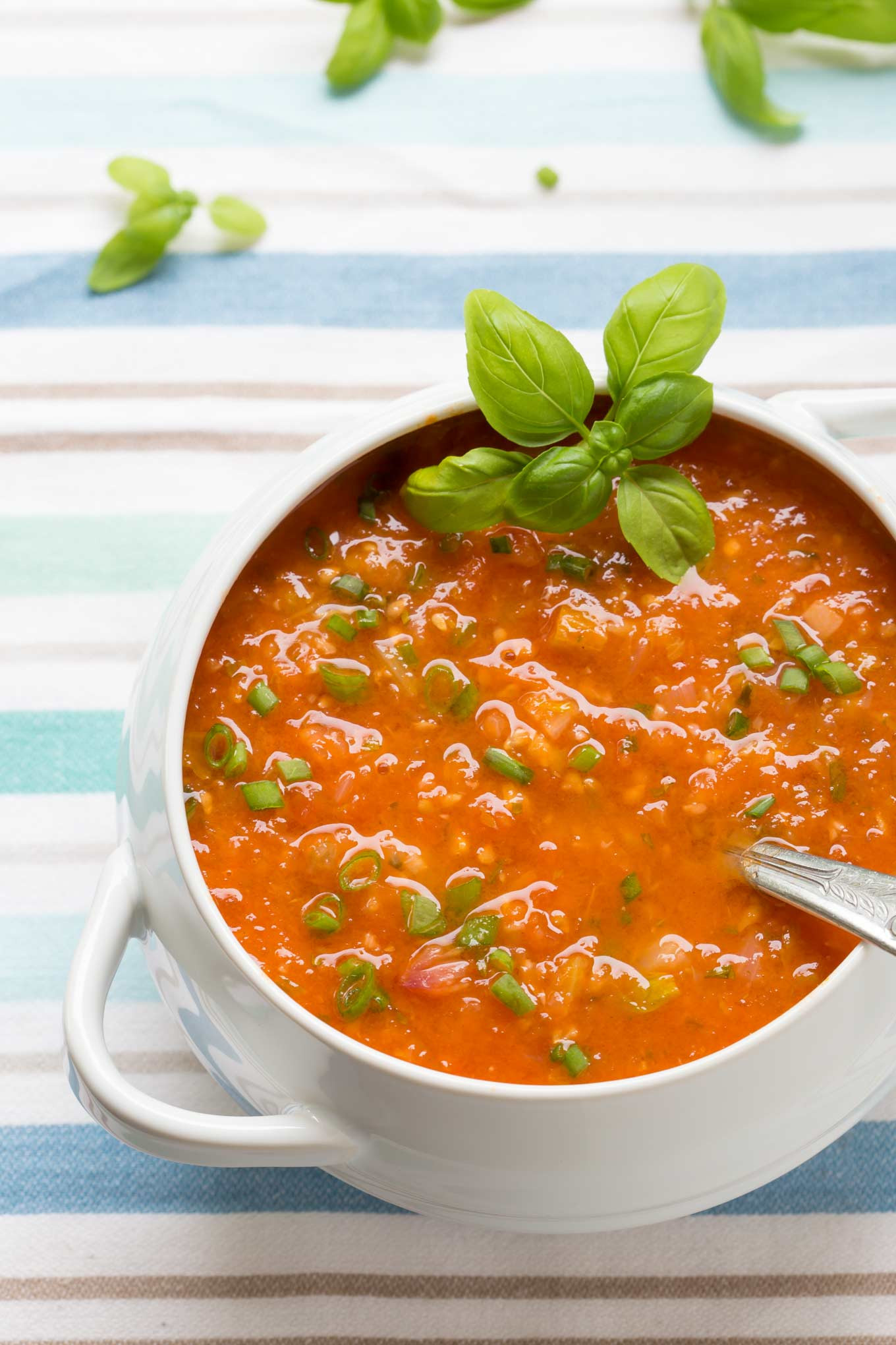 Vegan Tomato Recipes
 30 min FRESH TOMATO SOUP RECIPE