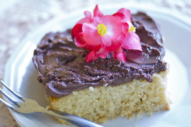 Vegan Yellow Cake Recipe
 Easy Vegan Vanilla Cake Namely Marly