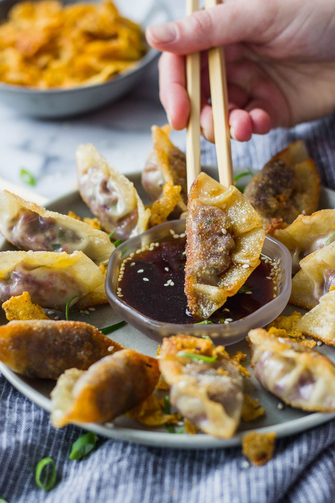 Vegetarian Gourmet Appetizers
 Ve able Potstickers with Ponzu Sauce Recipe