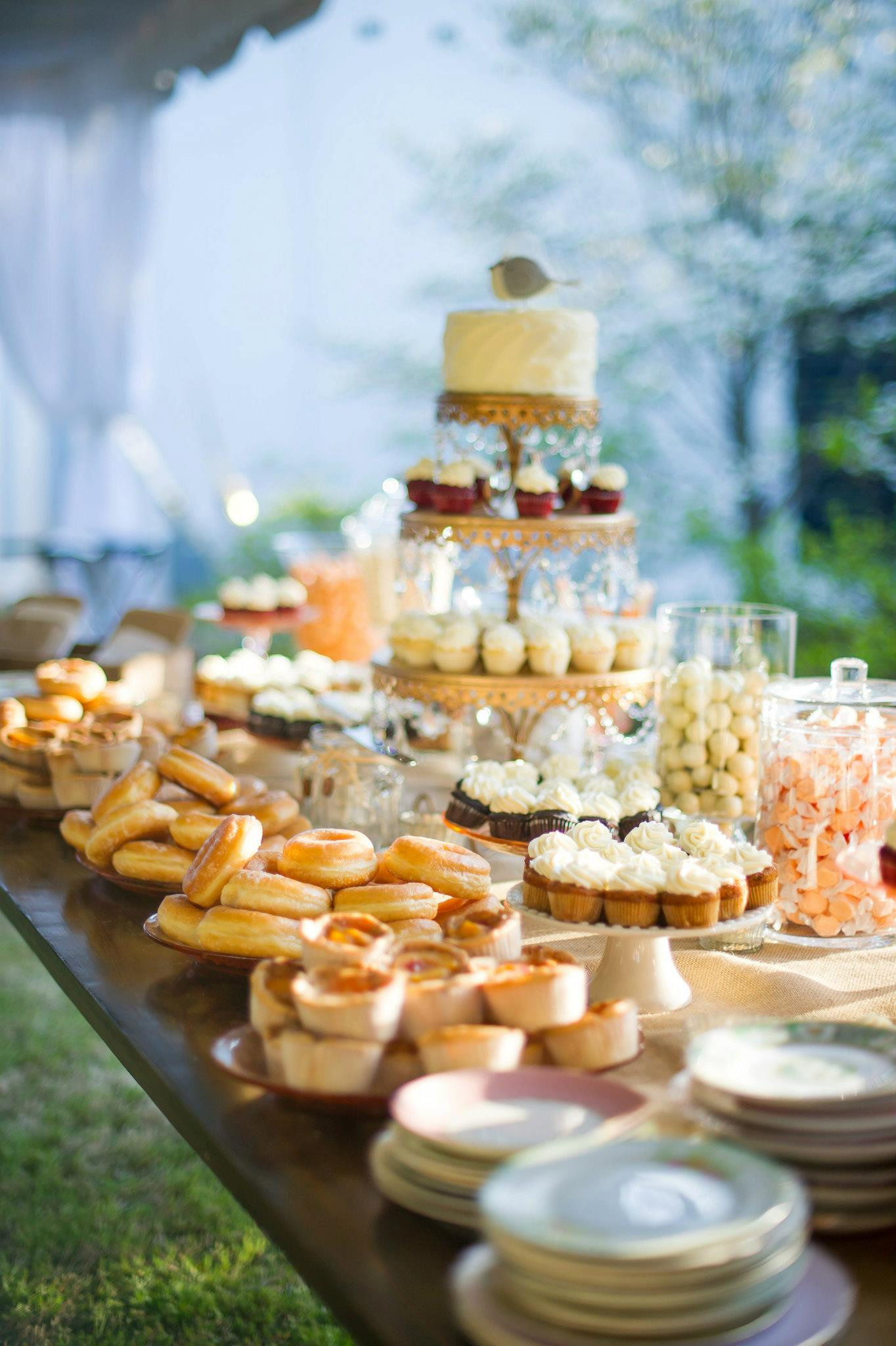 Wedding Dessert Bar
 Real Wedding Brittany Ryan – Wiregrass Weddings