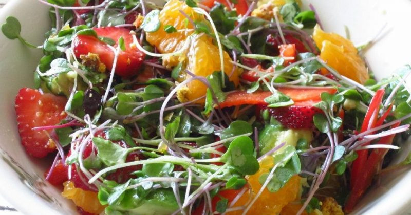 Weight Loss Salads Recipes
 Strawberry and Citrus Salad with Avocado – and a Weight