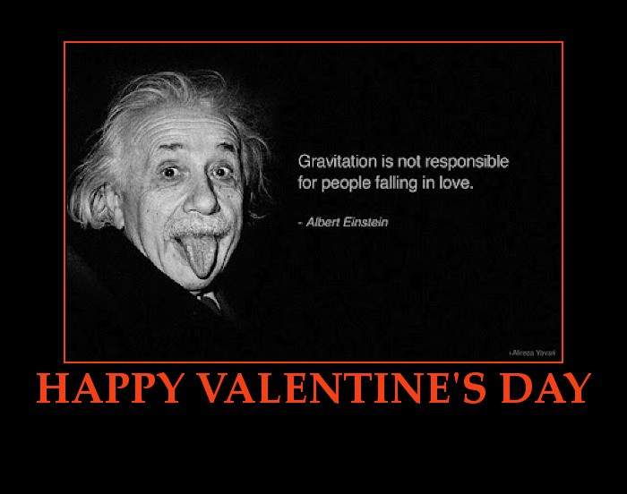 Funny Single Valentines Day Quotes
 Funny Valentines Quotes QuotesGram