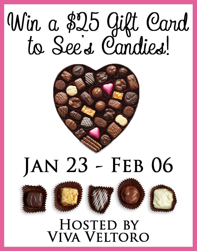 See'S Candy Valentines Day
 Valentine s Day with See s Can s Review & Giveaway