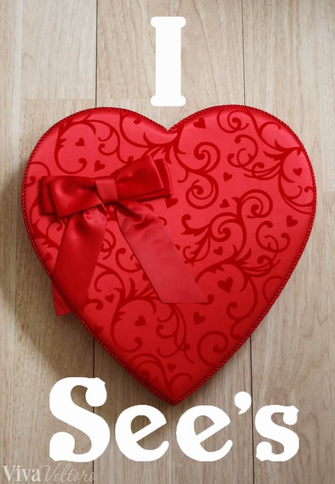 See'S Candy Valentines Day
 Valentine s Day with See s Can s Review & Giveaway