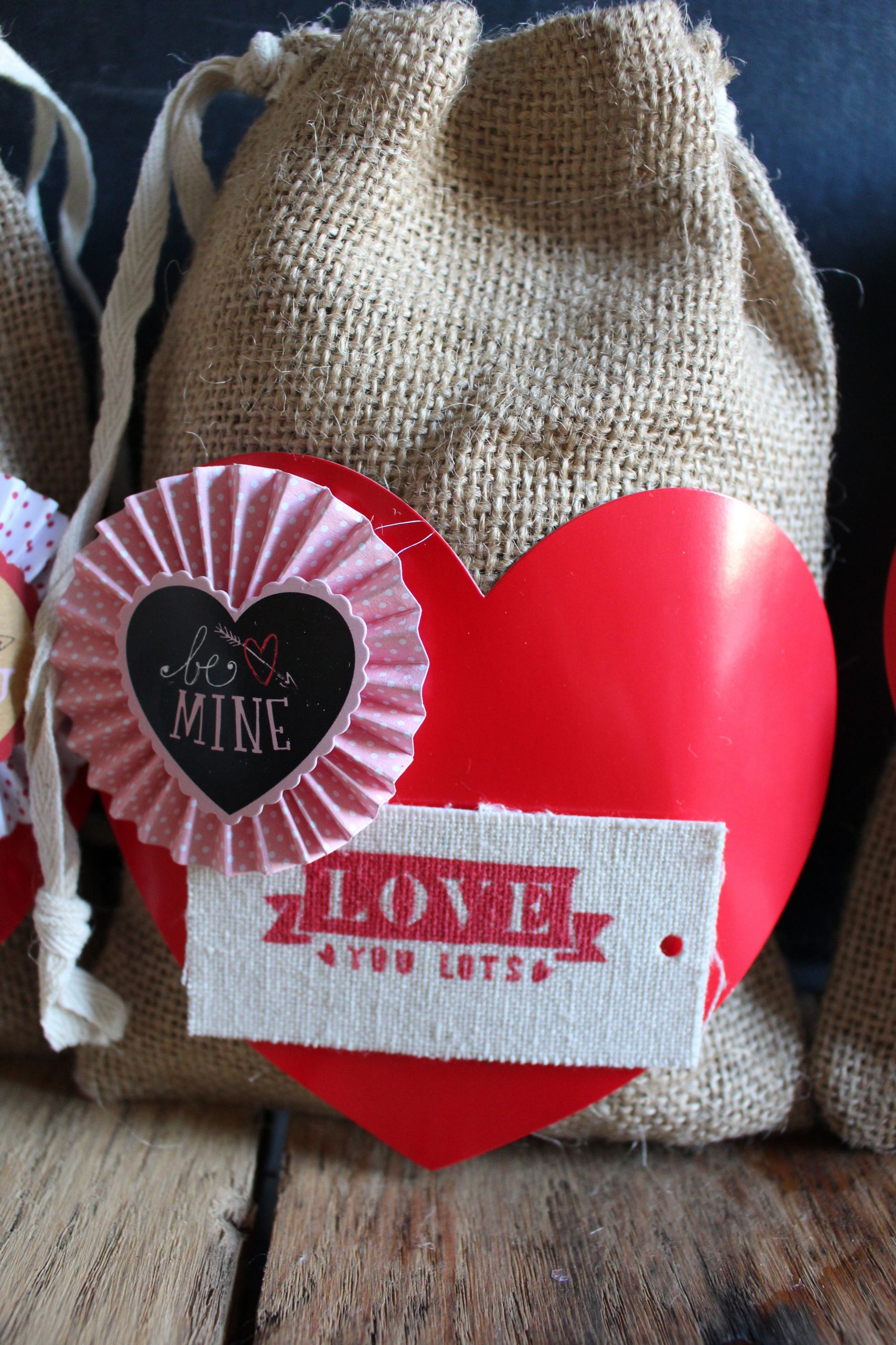 Valentine Day Gift Bags Ideas
 DIY Valentine s Day Gift Bag 2 Bees in a Pod