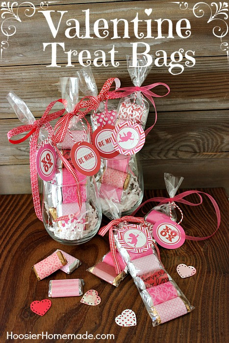 Valentine Day Gift Bags Ideas
 33 Homemade Valentines & Treat Bag Ideas Nest of Posies