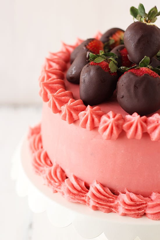 Valentines Day Cake Recipe
 Valentine s Day Cake Handle the Heat