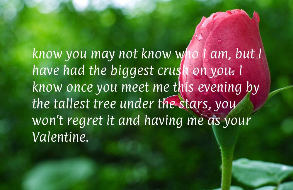 Valentines Day Quotes For Him
 Valentines Day Quotes Beautiful Valentine Quotes and Sms